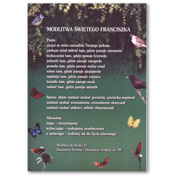 Modlitwa do Kroku XI - A4/folia