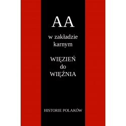 AA w zakładzie karnym. Więzień do więźnia. Historie Polaków
