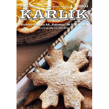 Karlik – Biuletyn Regionu AA Katowice [wydanie papierowe]