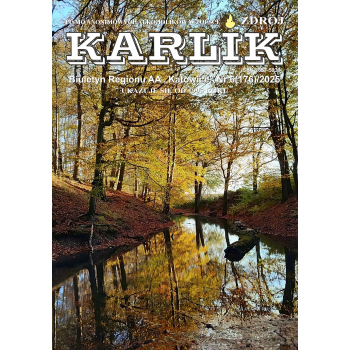 Karlik – Biuletyn Regionu AA Katowice [wydanie papierowe]