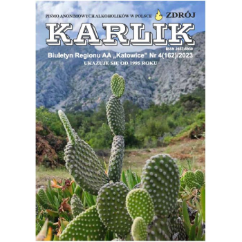 Karlik – Biuletyn Regionu AA Katowice [wydanie papierowe]