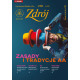 Zdrój – Pismo Anonimowych Alkoholików w Polsce [e-wydanie]