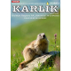Karlik – Biuletyn Regionu AA Katowice [e-wydanie] *dostępne numery archiwalne