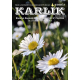 Karlik – Biuletyn Regionu AA Katowice [wydanie papierowe]