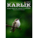 Karlik – Biuletyn Regionu AA Katowice [wydanie papierowe]