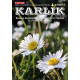 Karlik – Biuletyn Regionu AA Katowice [e-wydanie]